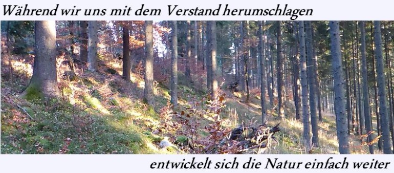 Der Verstand kämpft - die Natur entwickelt sich